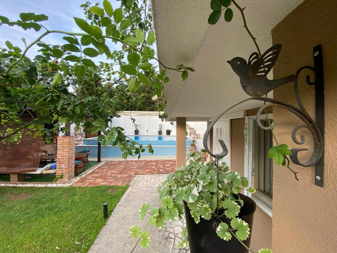 Villa Nikola Kotor Extérieur photo