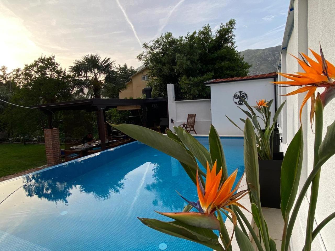 Villa Nikola Kotor Extérieur photo
